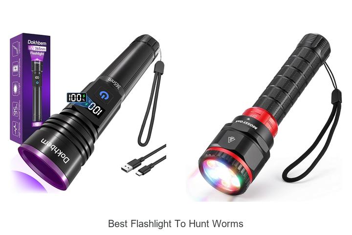 best flashlight to hunt worms