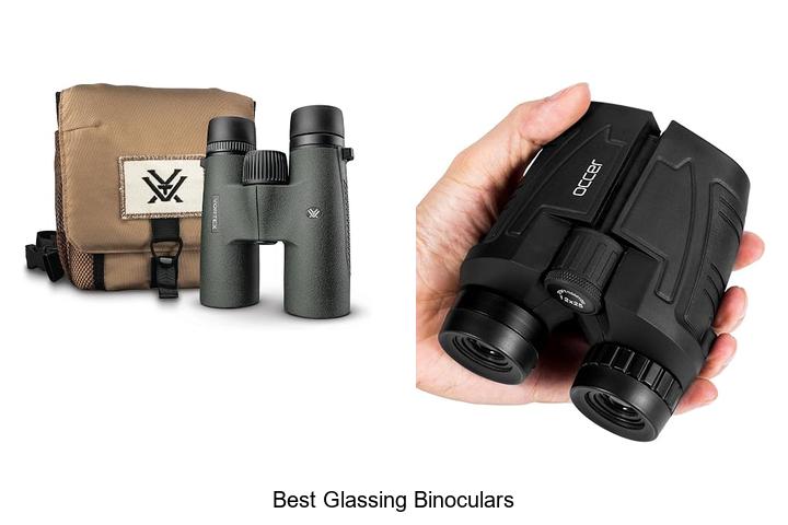best glassing binoculars