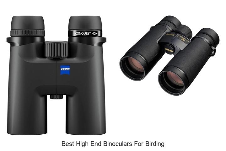 best high end binoculars for birding