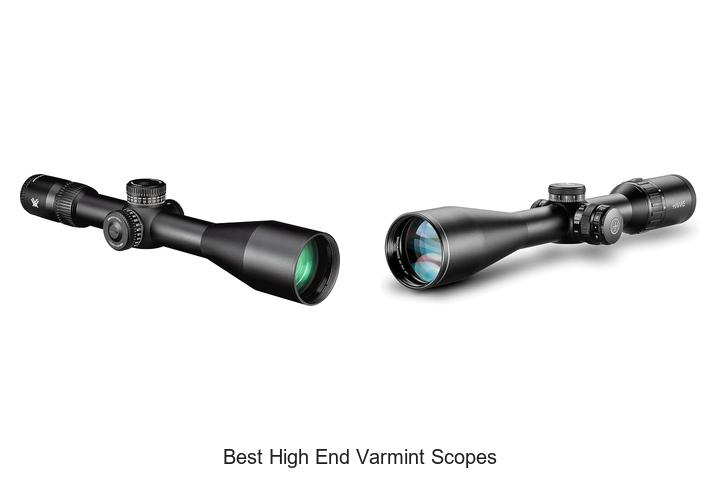best high end varmint scopes