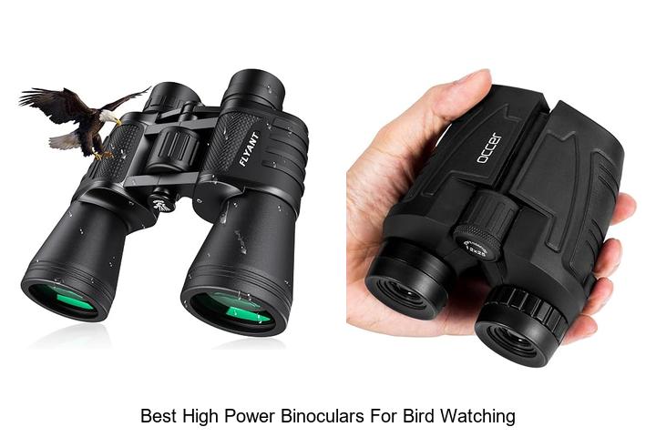 best high power binoculars for bird watching