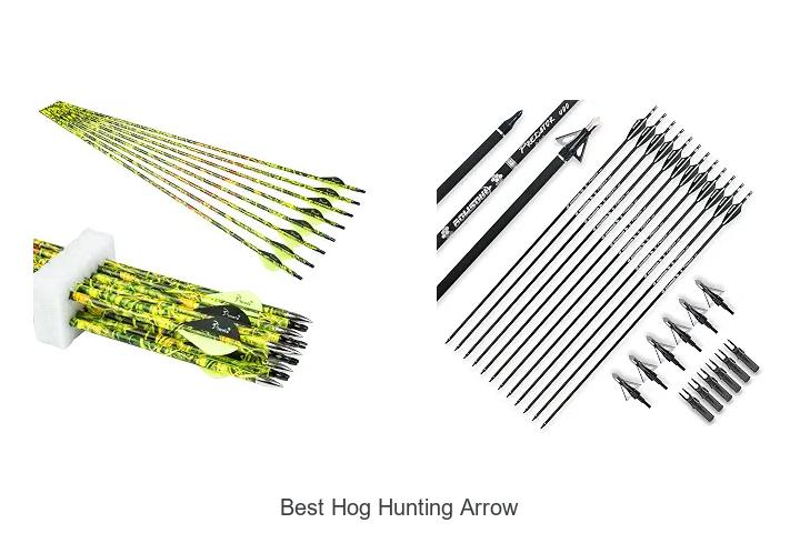 best hog hunting arrow