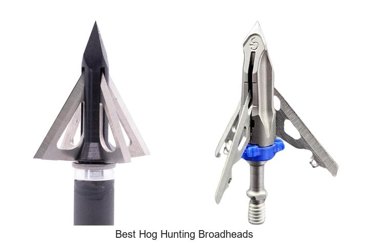 best hog hunting broadheads