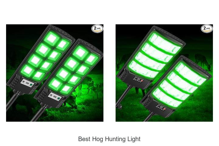 best hog hunting light