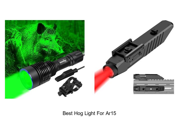 best hog light for ar15