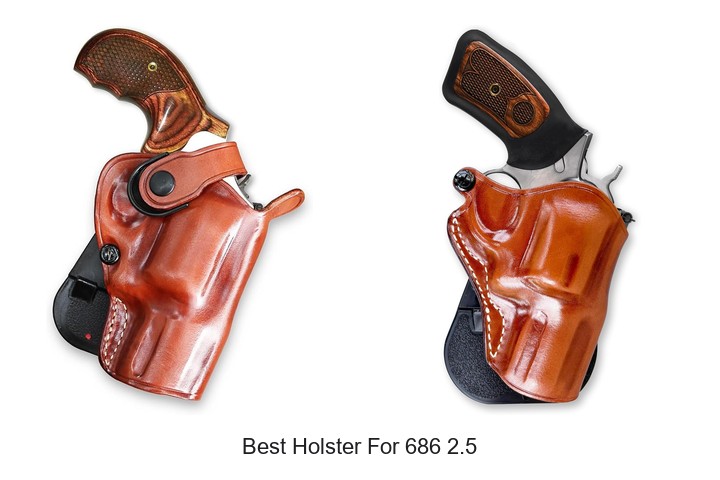 Best Holster For 686 2.5