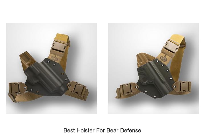 best holster for bear defense