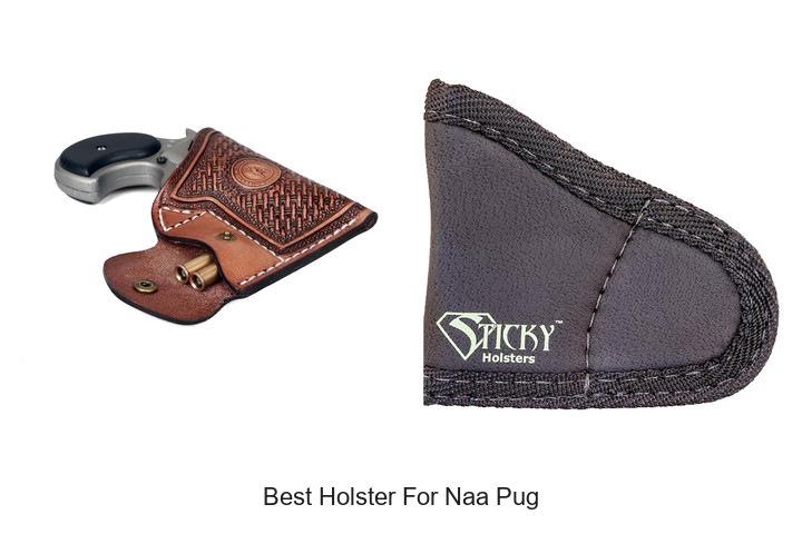 Best Holster For Naa Pug