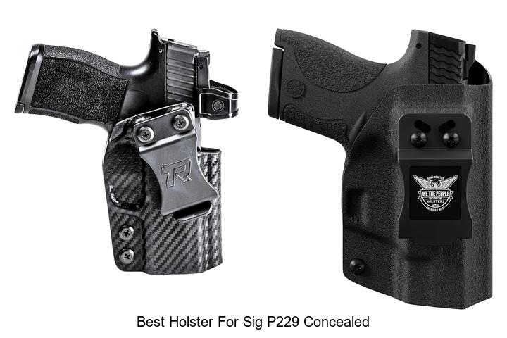 best holster for sig p229 concealed