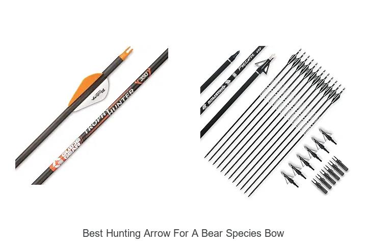 best hunting arrow for a bear species bow
