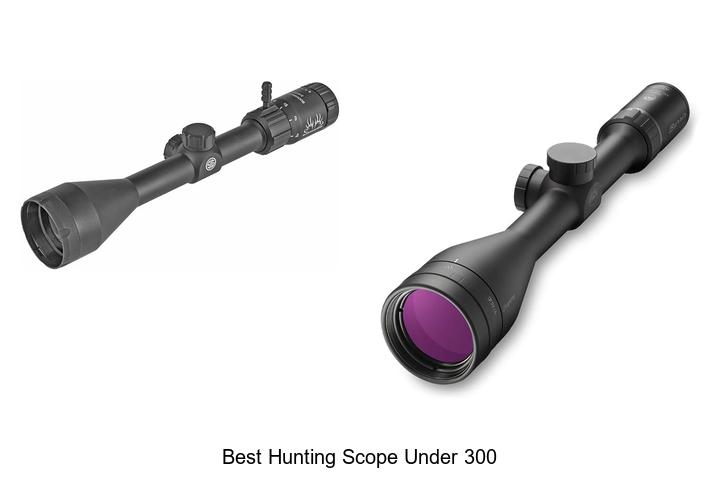 best hunting scope under 300