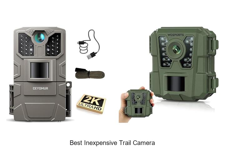 best inexpensive trail camera