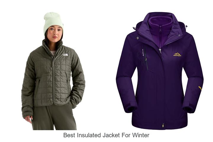 best insulated jacket for winter