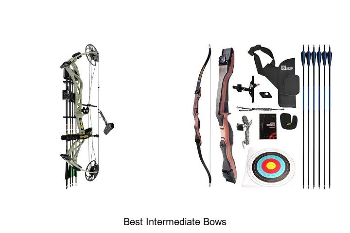 best intermediate bows