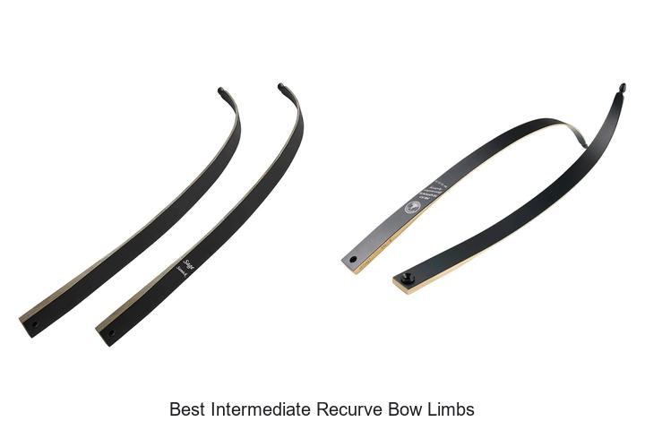 best intermediate recurve bow limbs