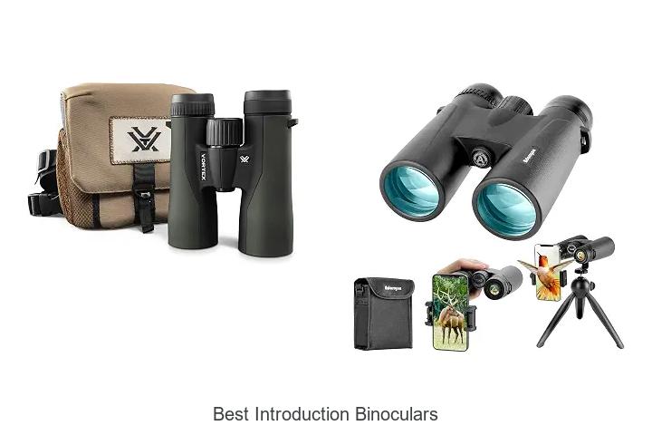 best introduction binoculars