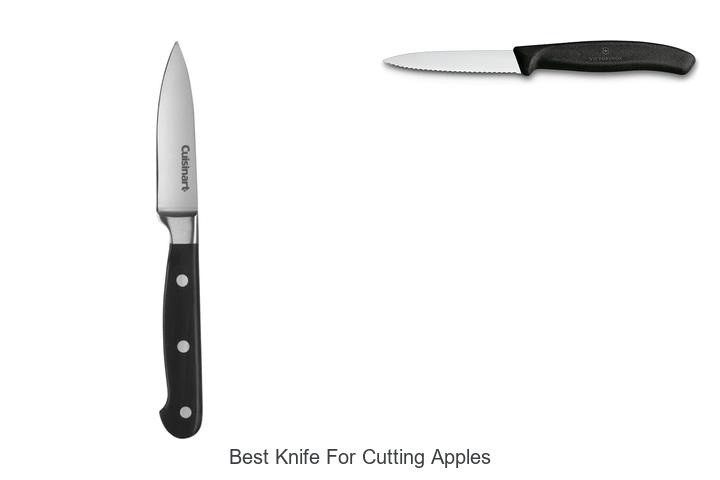 best knife for cutting apples 1