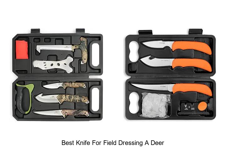 best knife for field dressing a deer