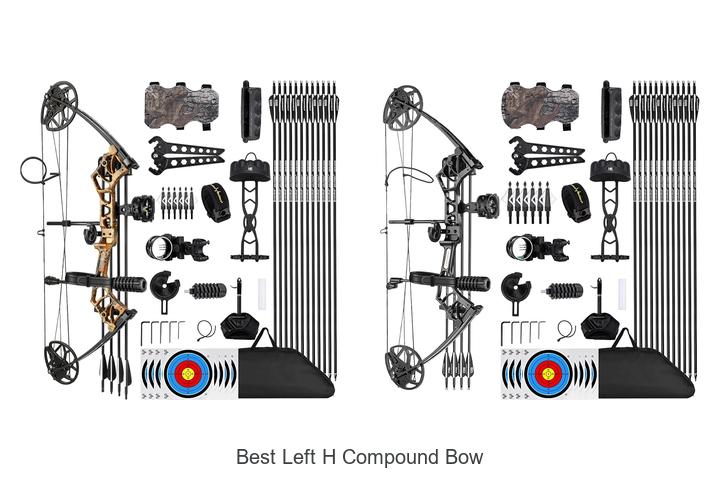 best left h compound bow