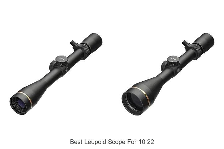 best leupold scope for 10 22