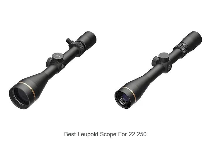 best leupold scope for 22 250