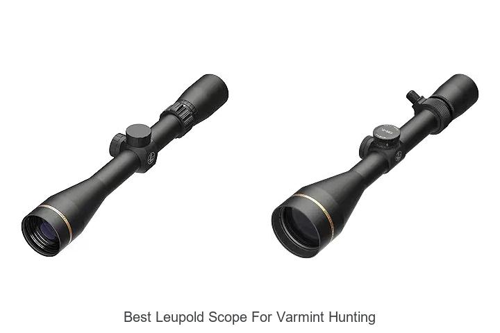 best leupold scope for varmint hunting