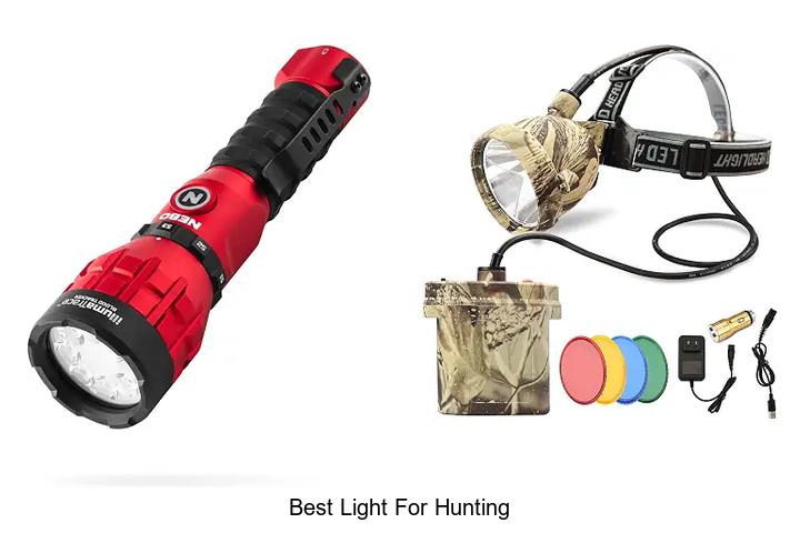 best light for hunting