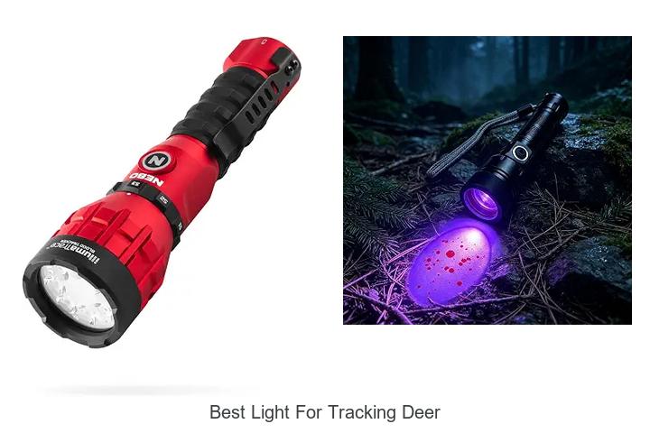 best light for tracking deer