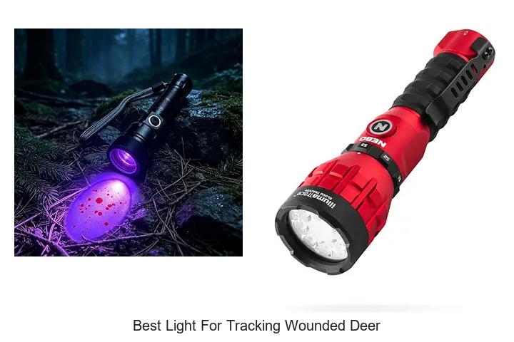 best light for tracking wounded deer