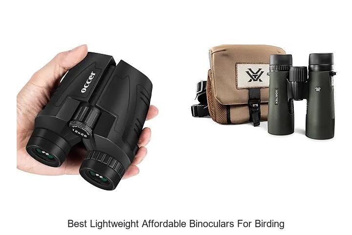 best lightweight affordable binoculars for birding