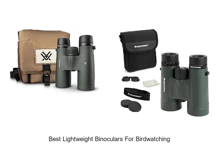 best lightweight binoculars for birdwatching