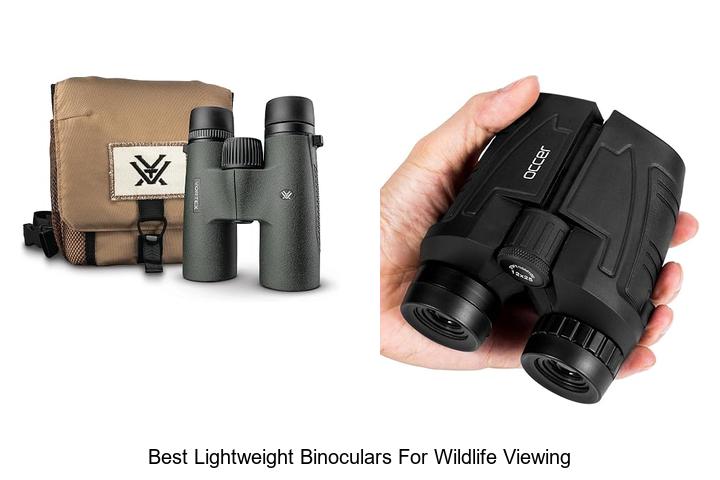best lightweight binoculars for wildlife viewing