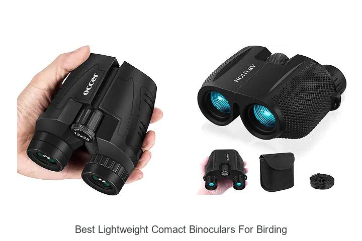 best lightweight comact binoculars for birding