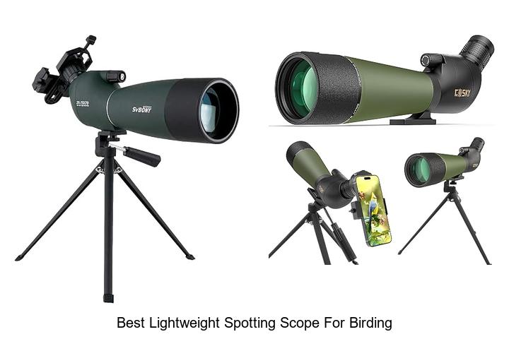 best lightweight spotting scope for birding