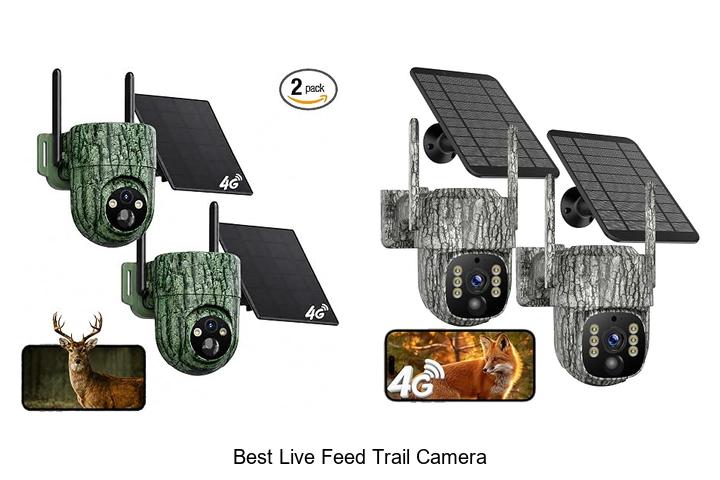 best live feed trail camera