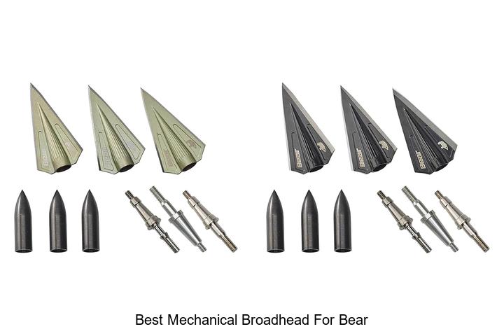 best mechanical broadhead for bear