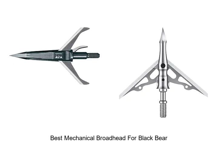 best mechanical broadhead for black bear
