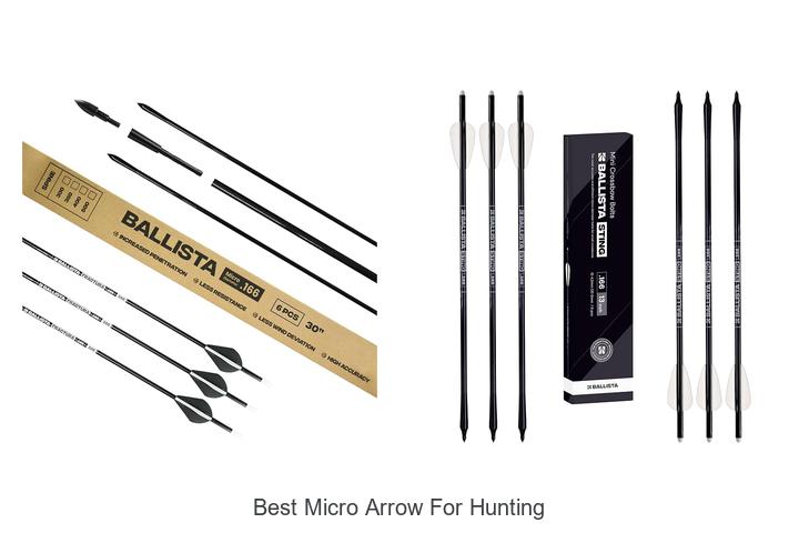 best micro arrow for hunting