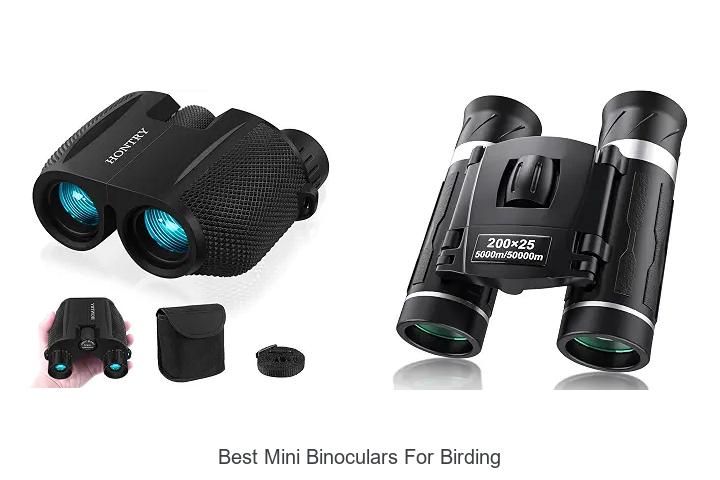 best mini binoculars for birding