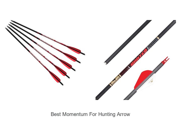 best momentum for hunting arrow