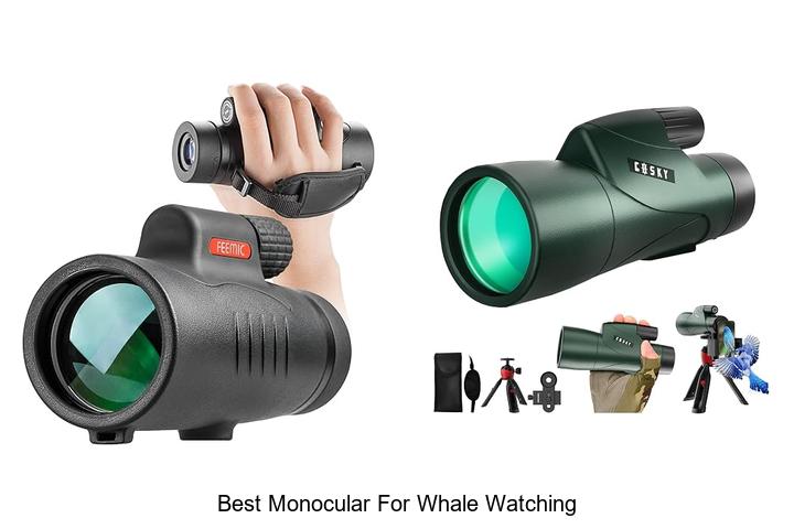best monocular for whale watching