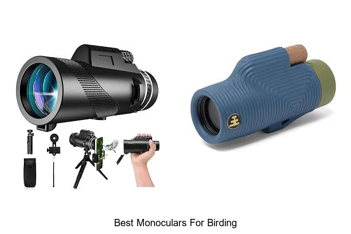 best monoculars for birding