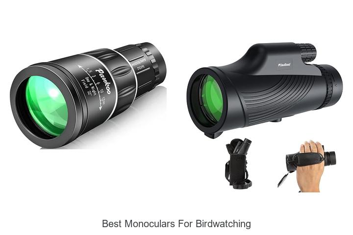 best monoculars for birdwatching