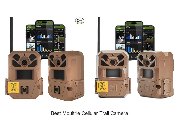 best moultrie cellular trail camera