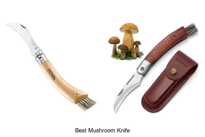 best mushroom knife