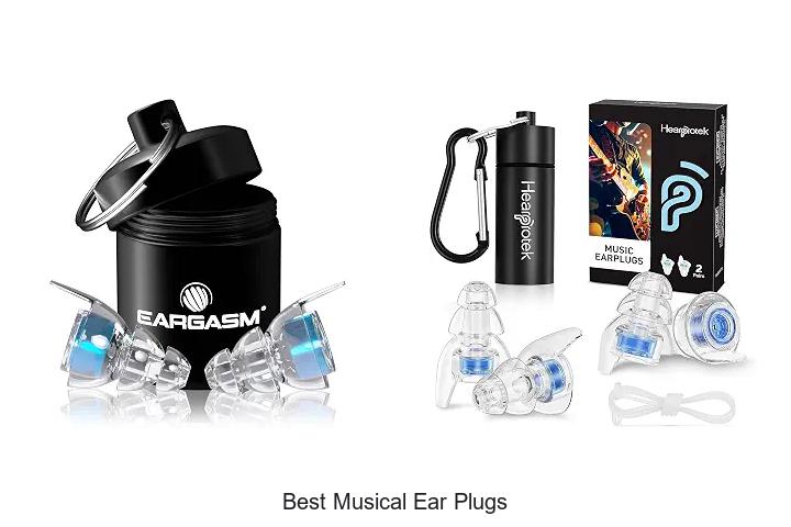 best musical ear plugs