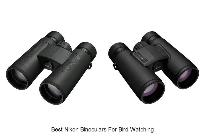 best nikon binoculars for bird watching