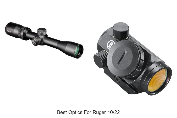 best optics for ruger 10 22