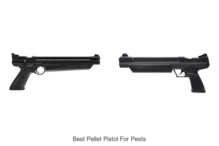 best pellet pistol for pests