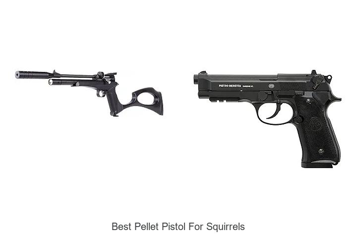 best pellet pistol for squirrels